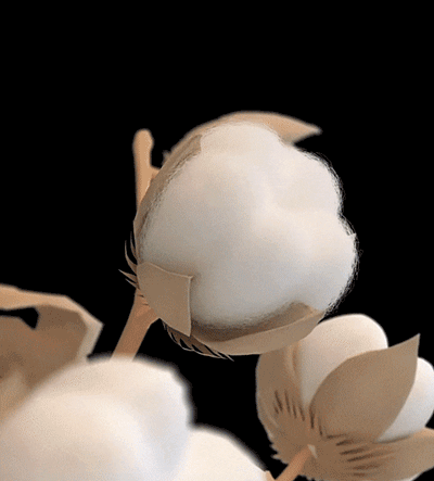 棉 (1).gif