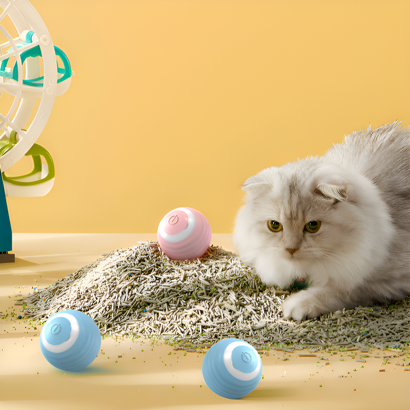Jouet magnétique intelligent pour chat, balle interactive rechargeable