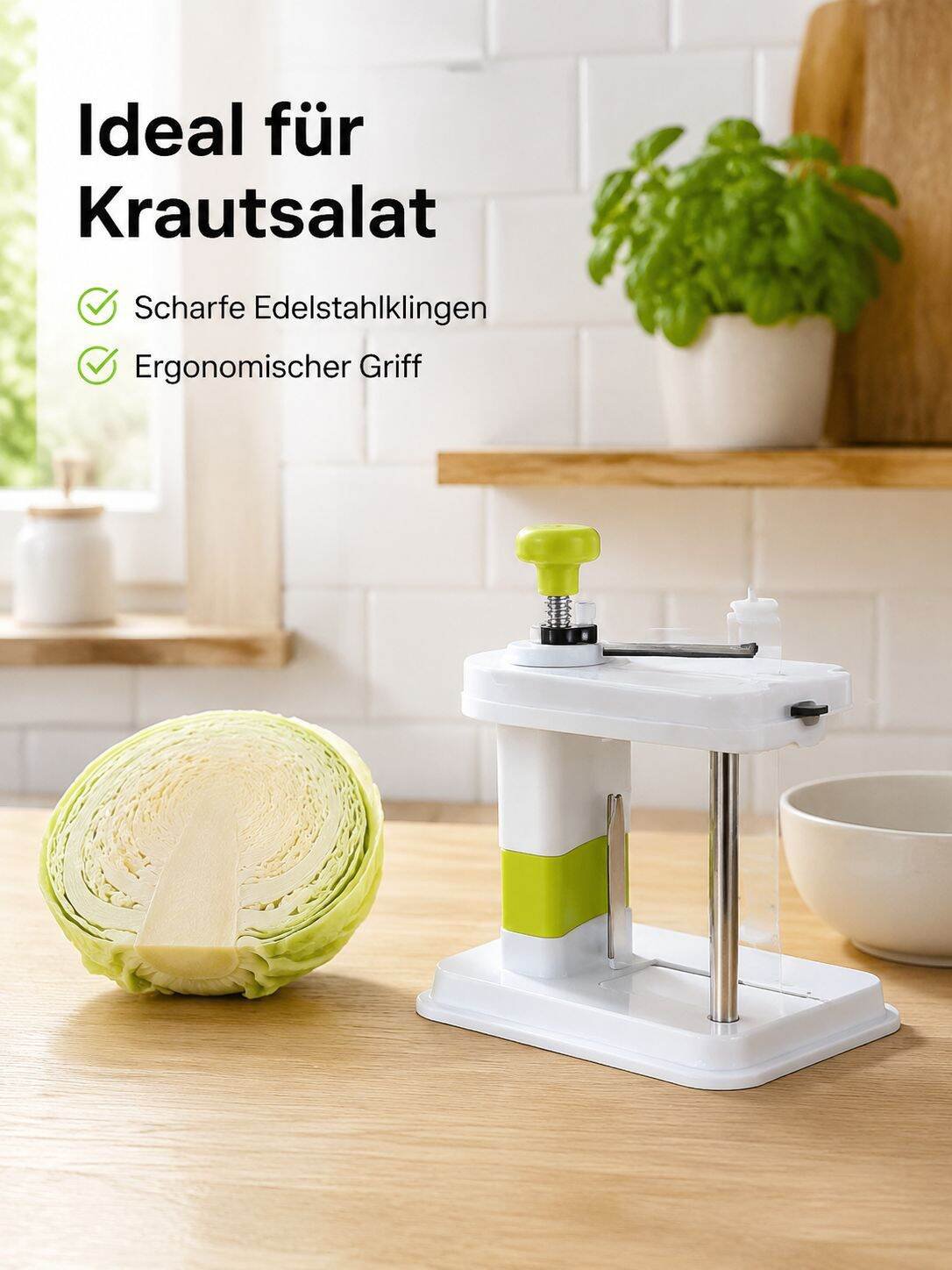 YH-Europäische Kohlreibe