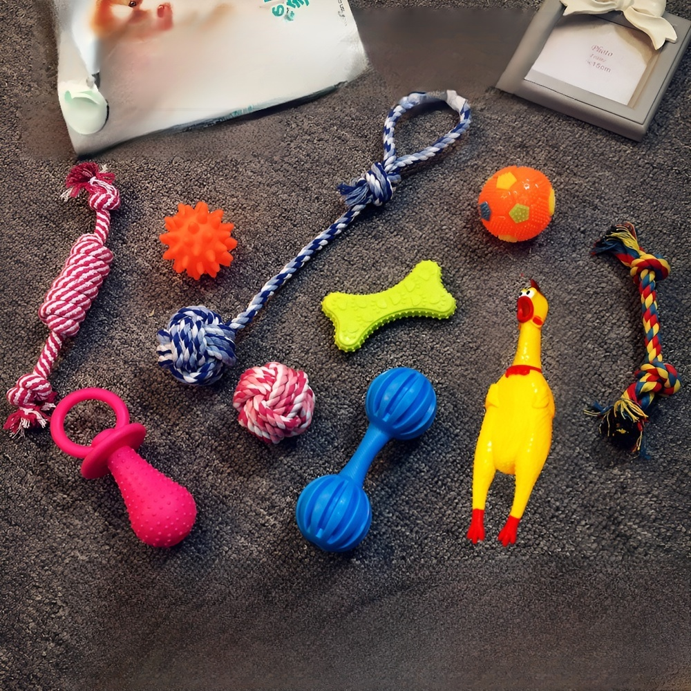 Pet toy dog   set, dog training toy, Teddy Golden Retriever