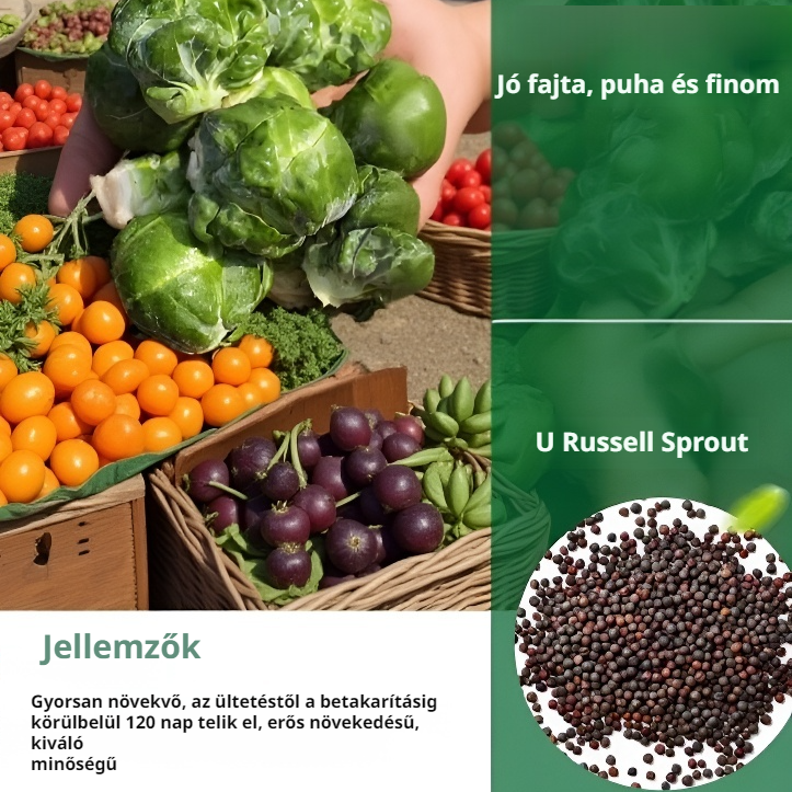 Édes, ropogós kelbimbó vetőmag