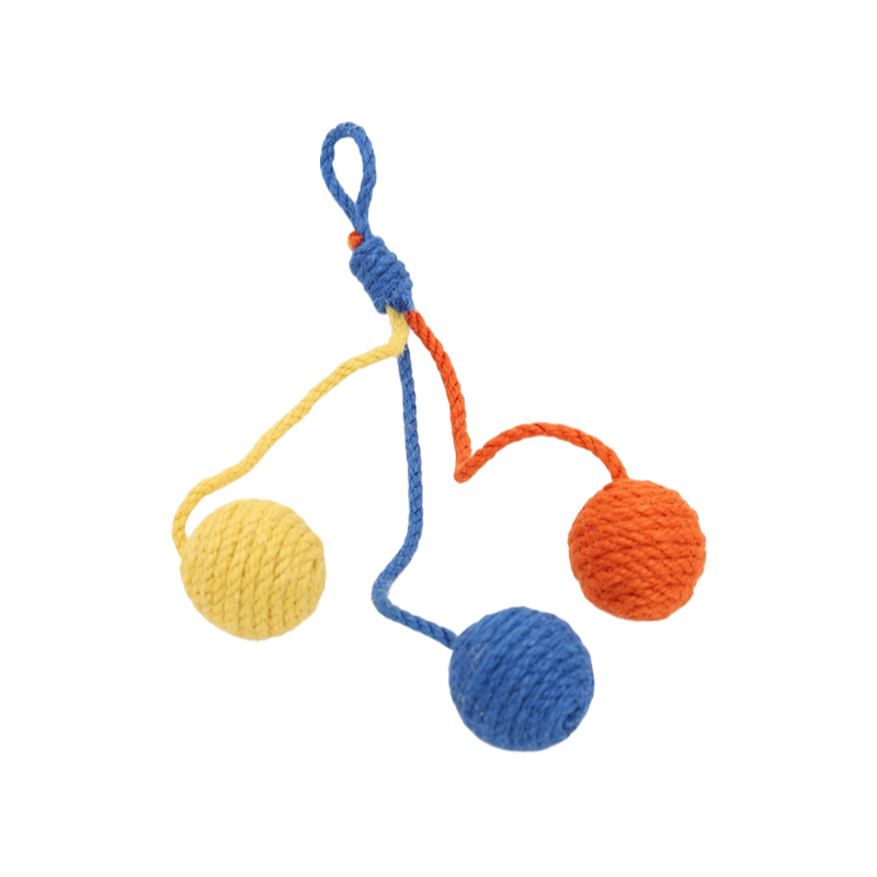 Chat suspendu en sisal