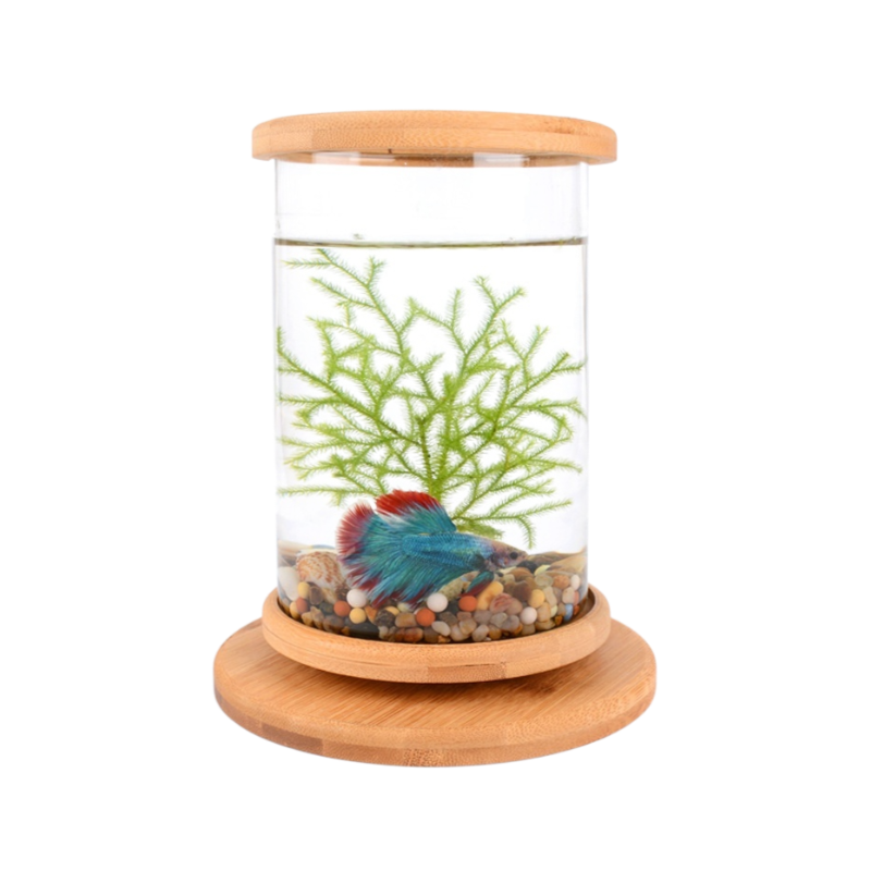 Drehbares Mini-Aquarium