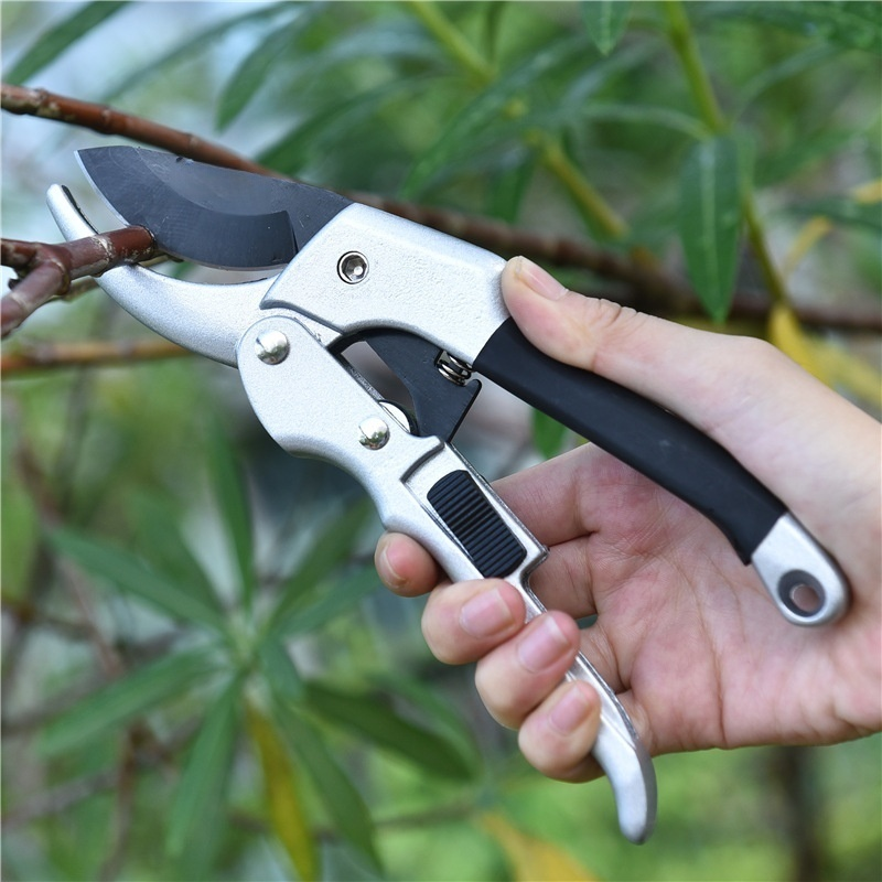 Multi functional garden pliers, fruit tree pruning pliers