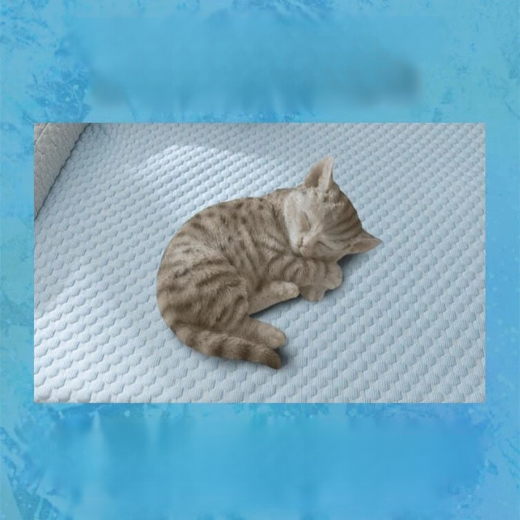 猫熊刺繡護頸床