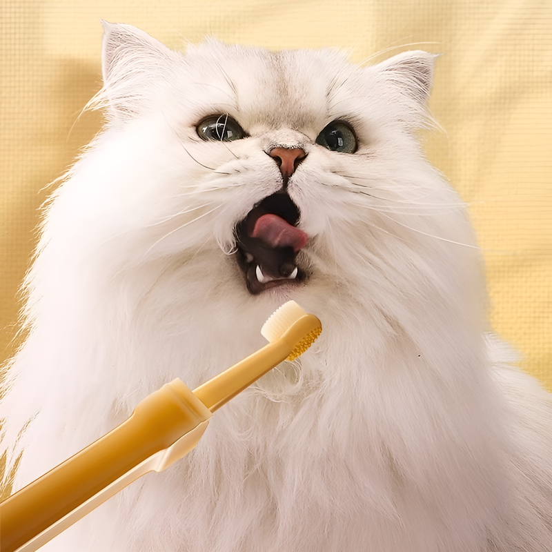 애완동물용 부드러운 실리콘 칫솔