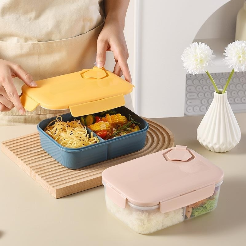 Microwave-safe sealed plastic lunch box