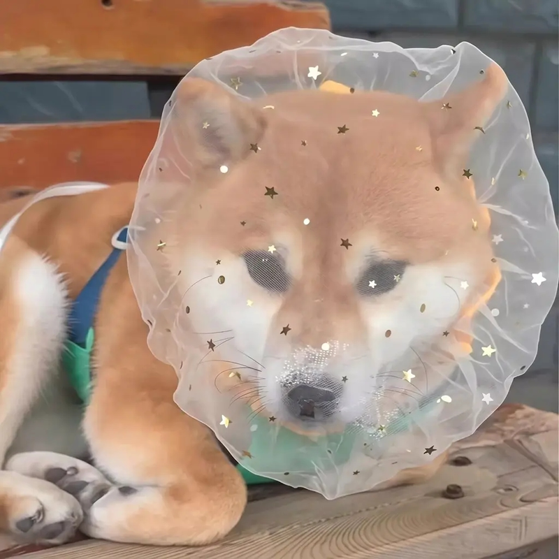 小型犬用盗難・誤飲防止メッシュヘッドギア
