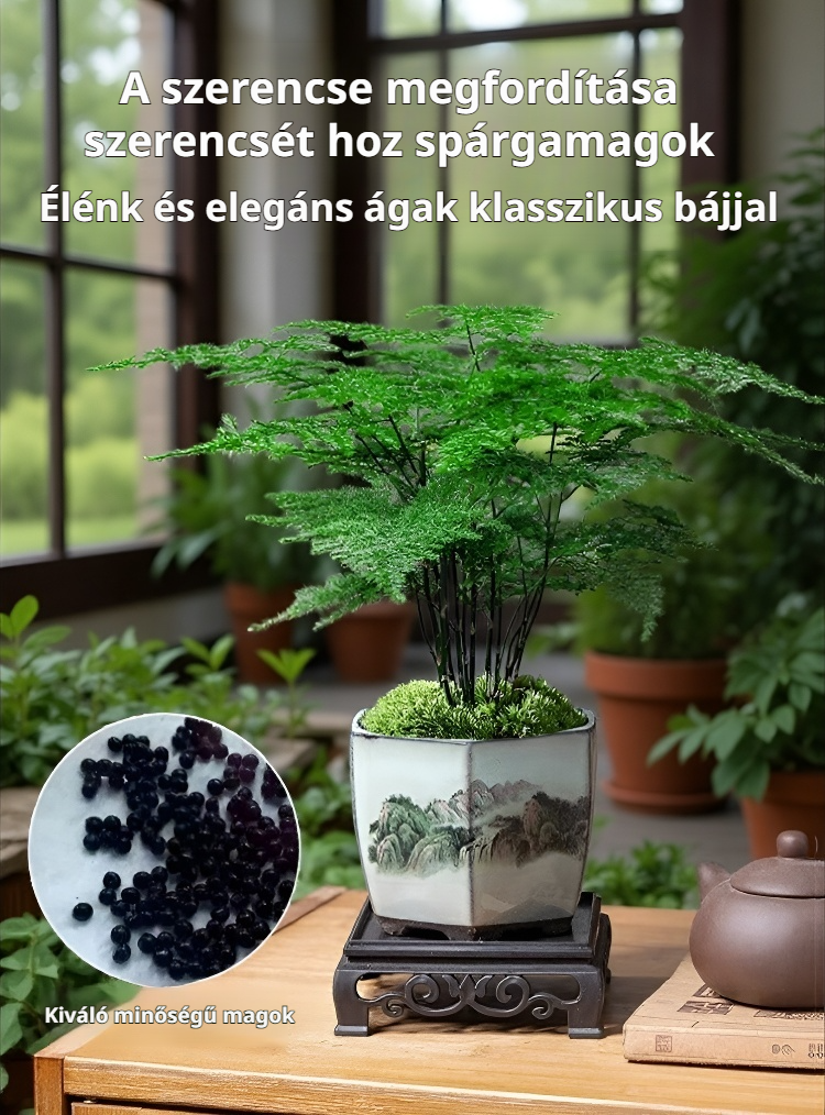 Bio spárga mag vetőágyban
