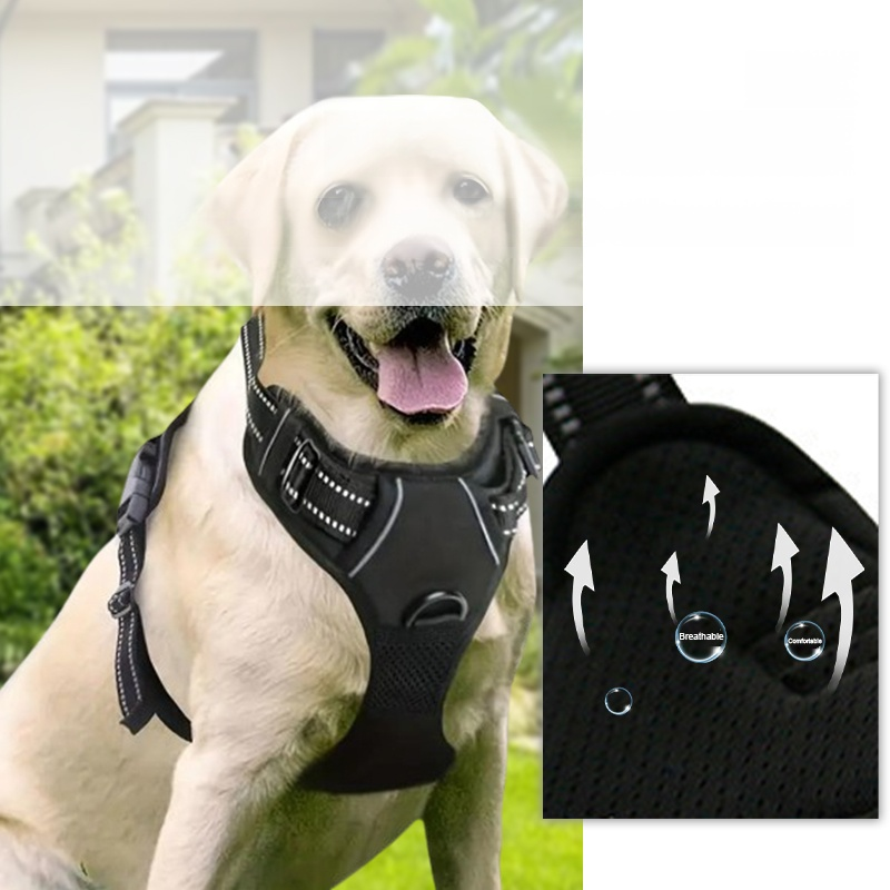 Pet retractable dog collar traction rope