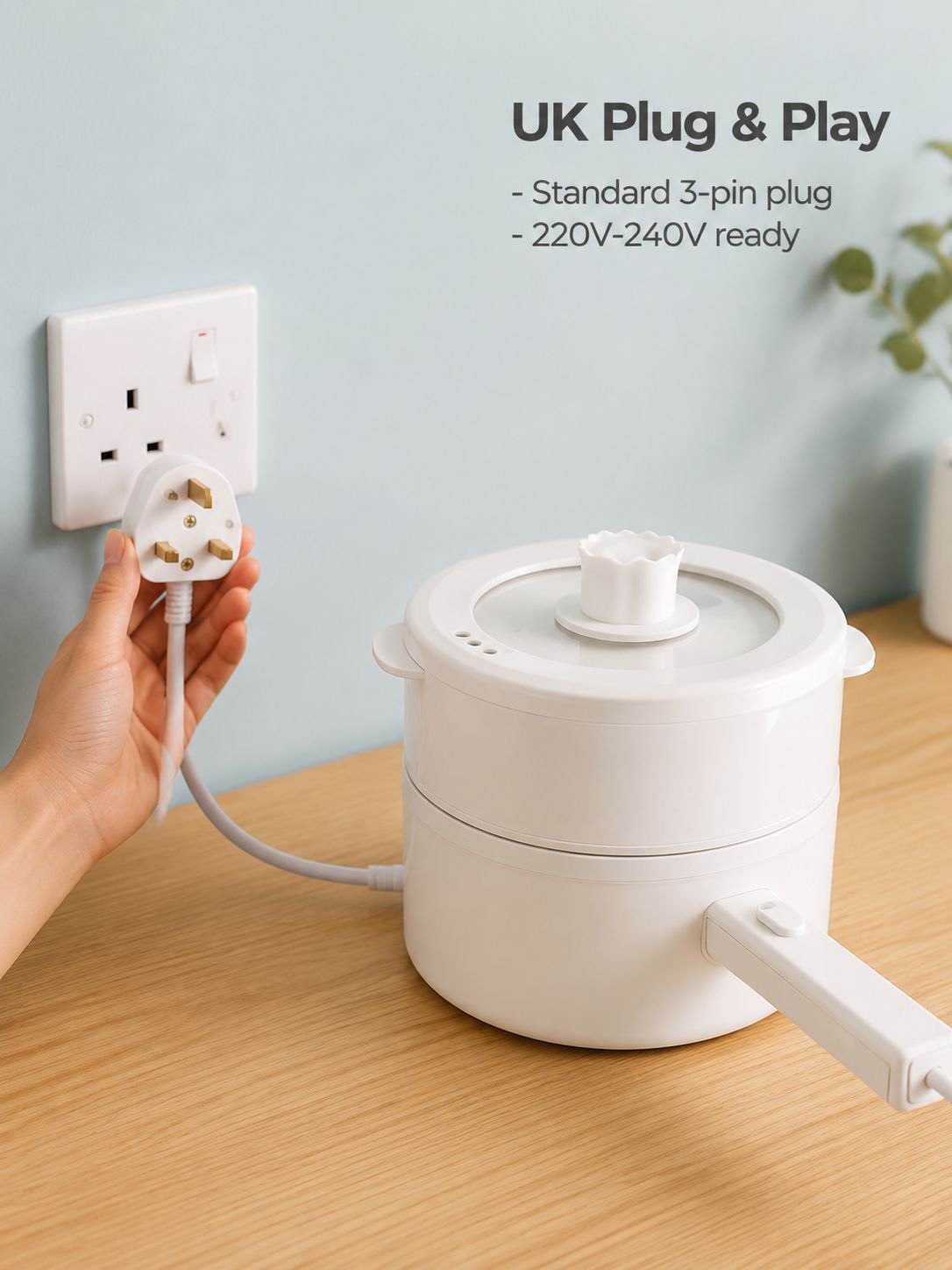Electric pot cooking noodles and soup