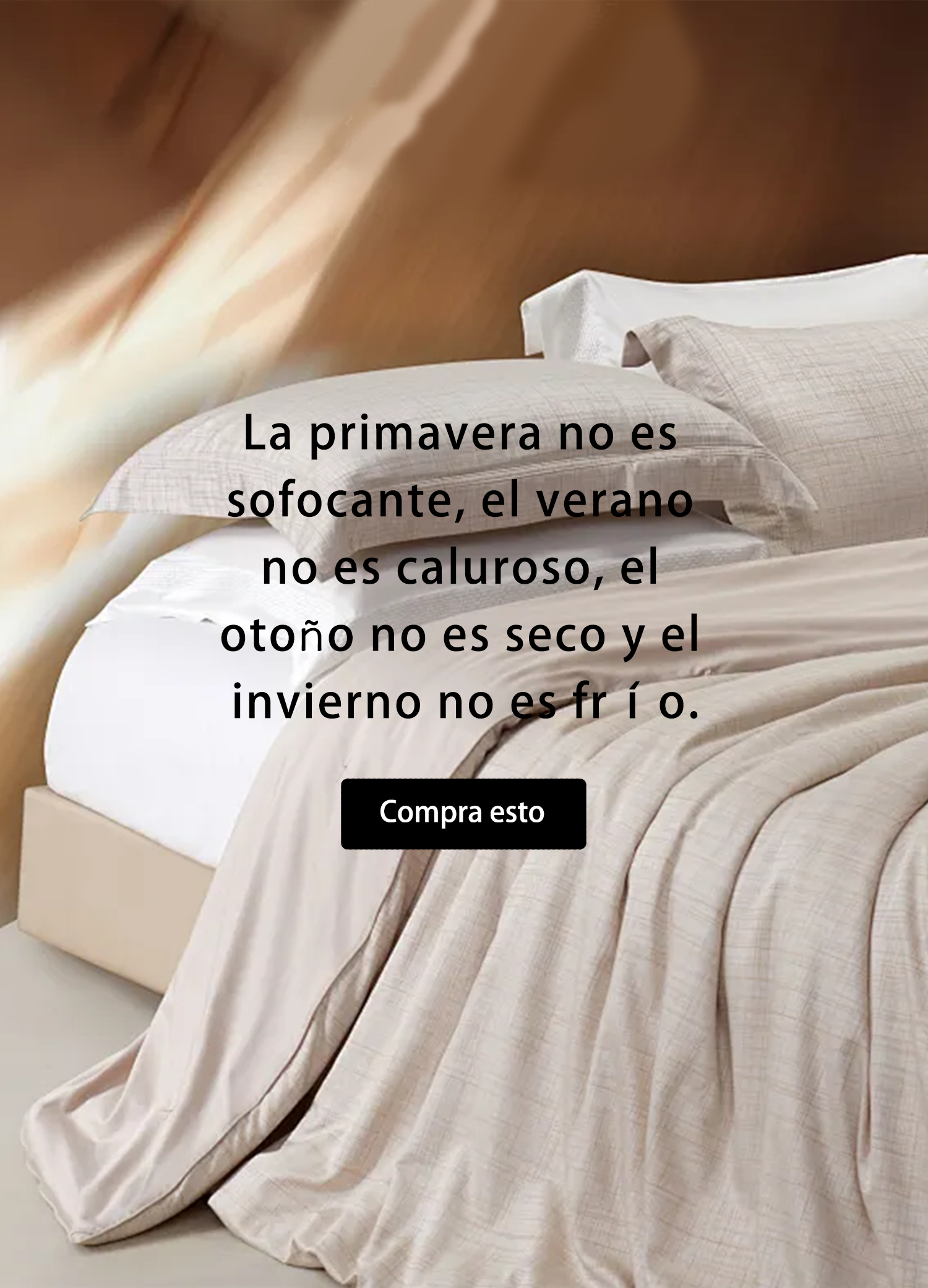Calidad Europea a Precios Sorprendentes