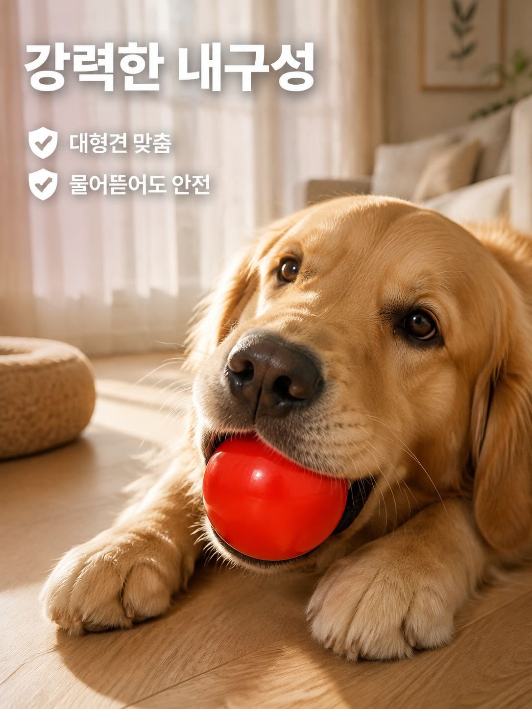 애완동물이 장난감 개공을 씹다