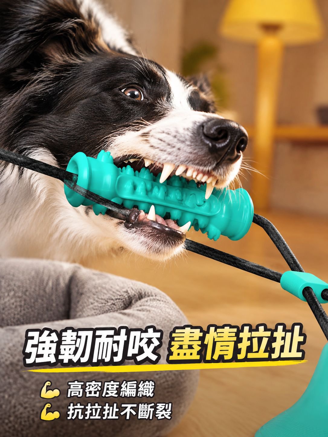 狗狗雙吸盤拉繩玩具