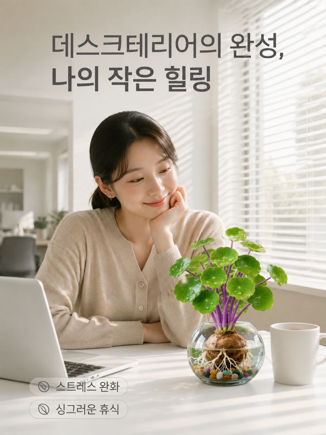 수경 관엽 식물