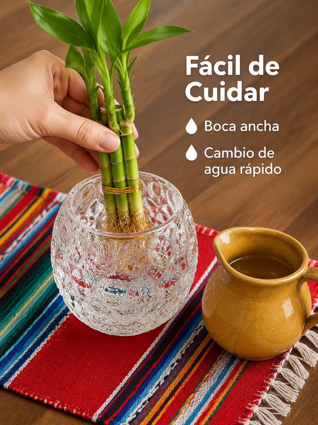 Close-up de una planta de interior regada con botellas de agua especializadas