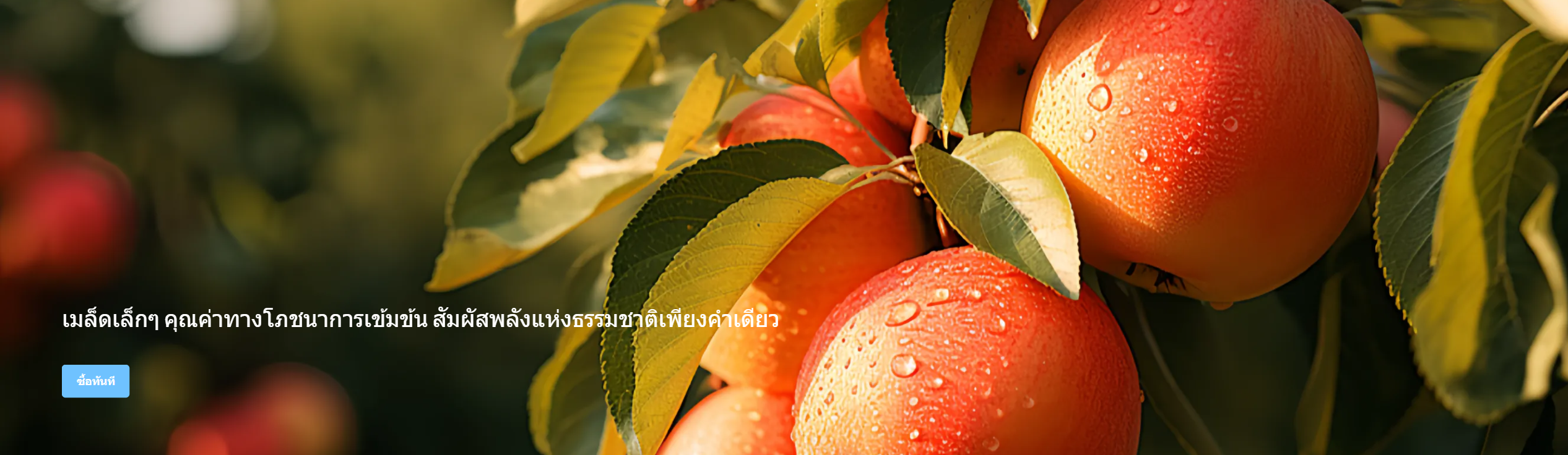 ศูนย์การค้าออนไลน์