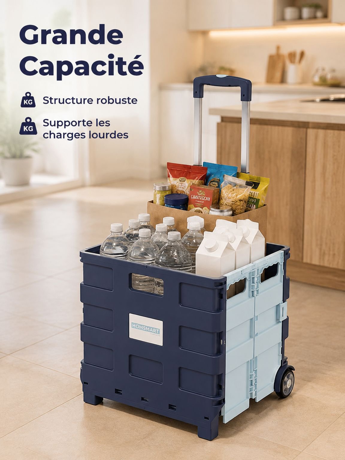 Petit chariot portable pour faire les courses