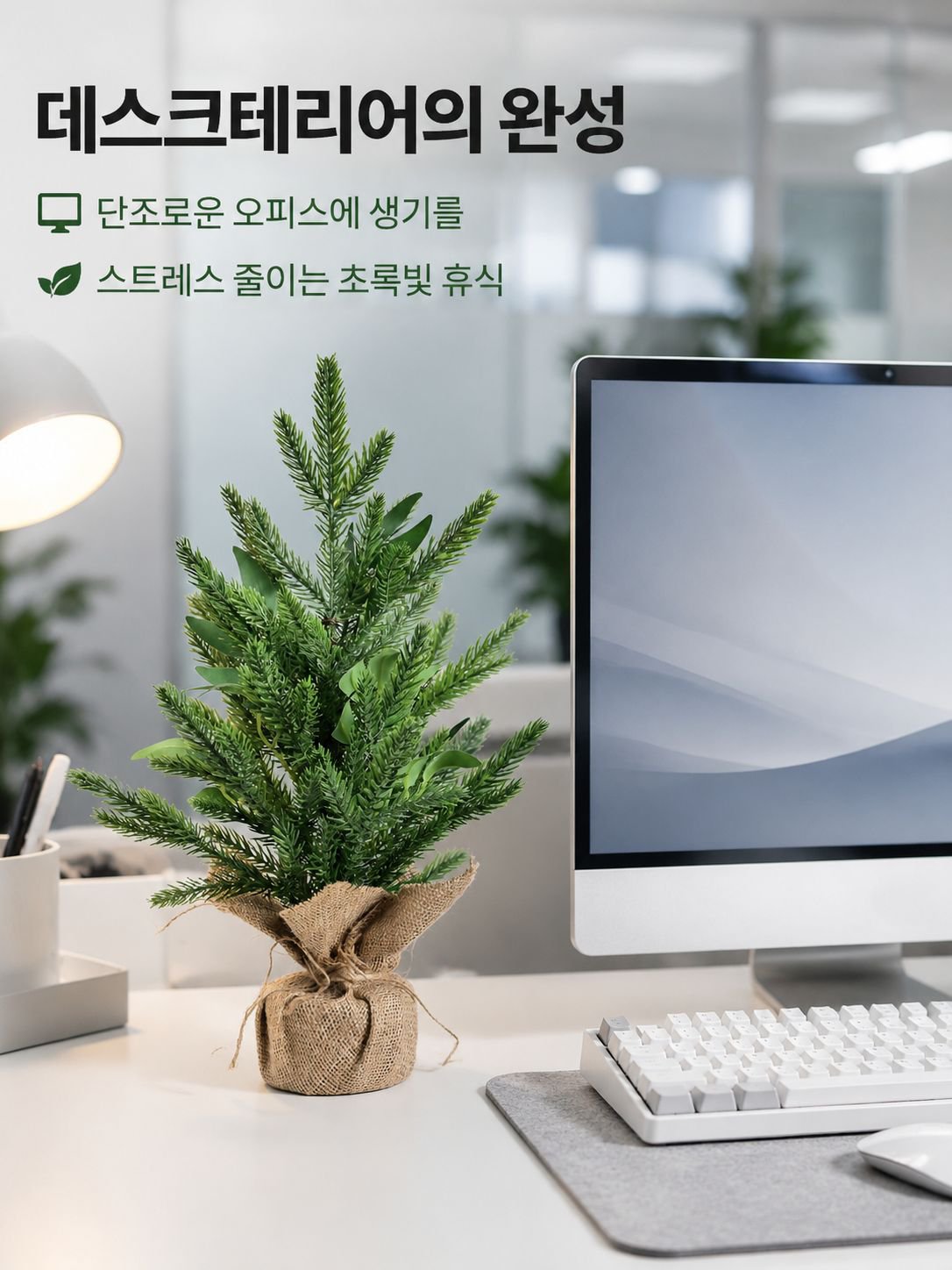 가정 및 사무실 장식용 작은 나무