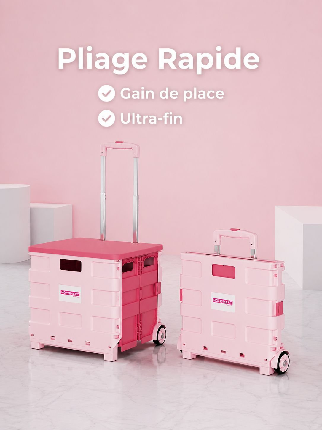 Petit chariot portable pour faire les courses