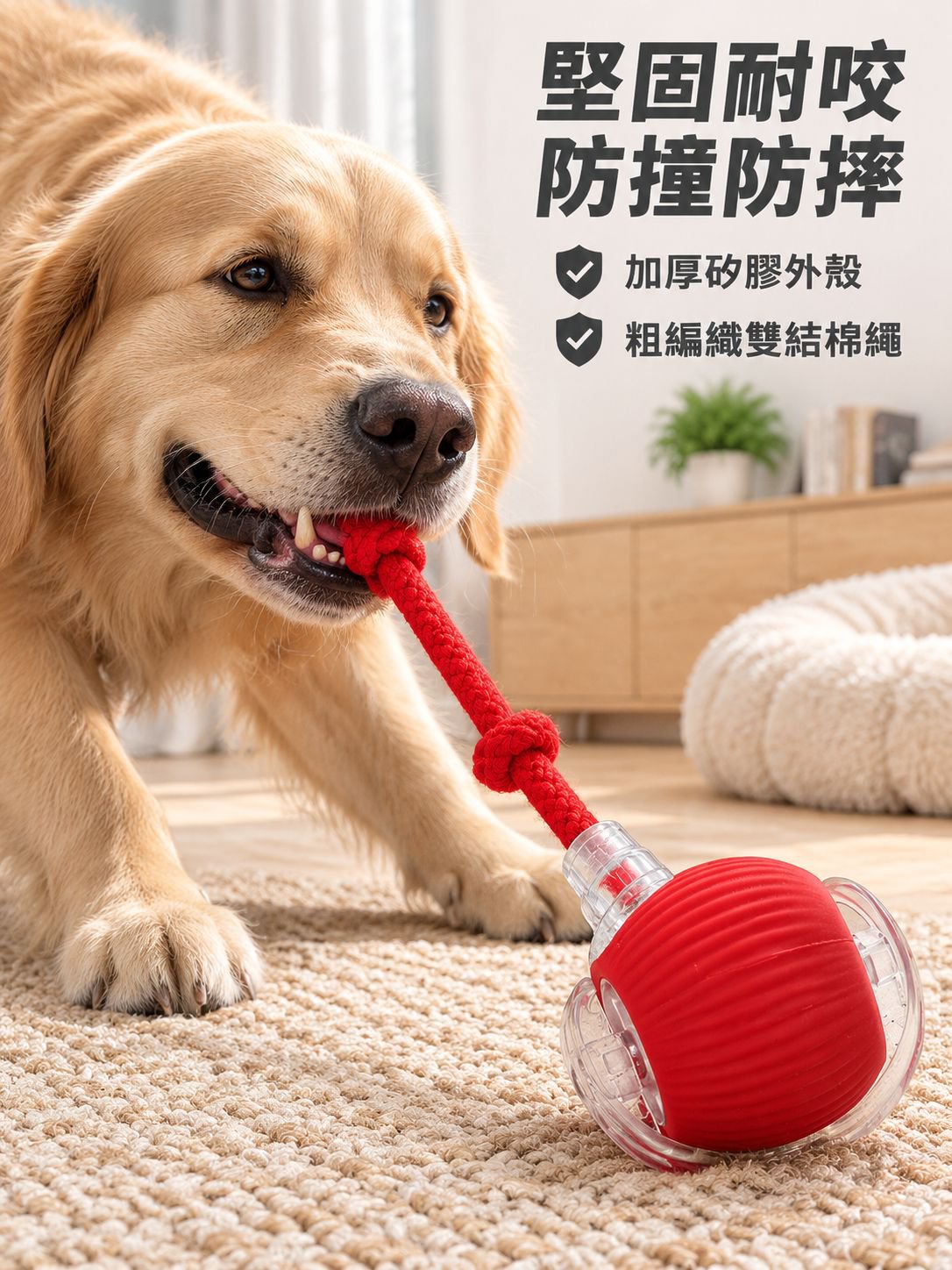 電動貓狗互動玩具球