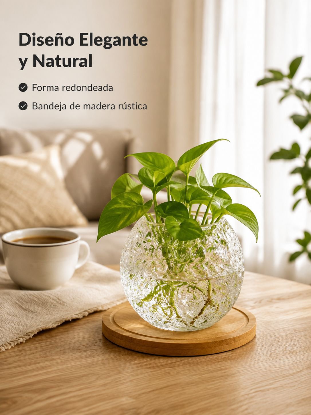 Florero de vidrio redondo transparente para plantas hidropónicas, diseño creativo