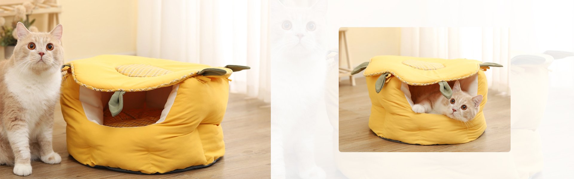 최신 펫용품 온라인 쇼핑몰 – 반려동물 필수 아이템 모음,주방 필수품 해외직구 – 트렌디한 키친 아이템 특가,편안한 침실 완성 – 인기 침구 세트 온라인 구매