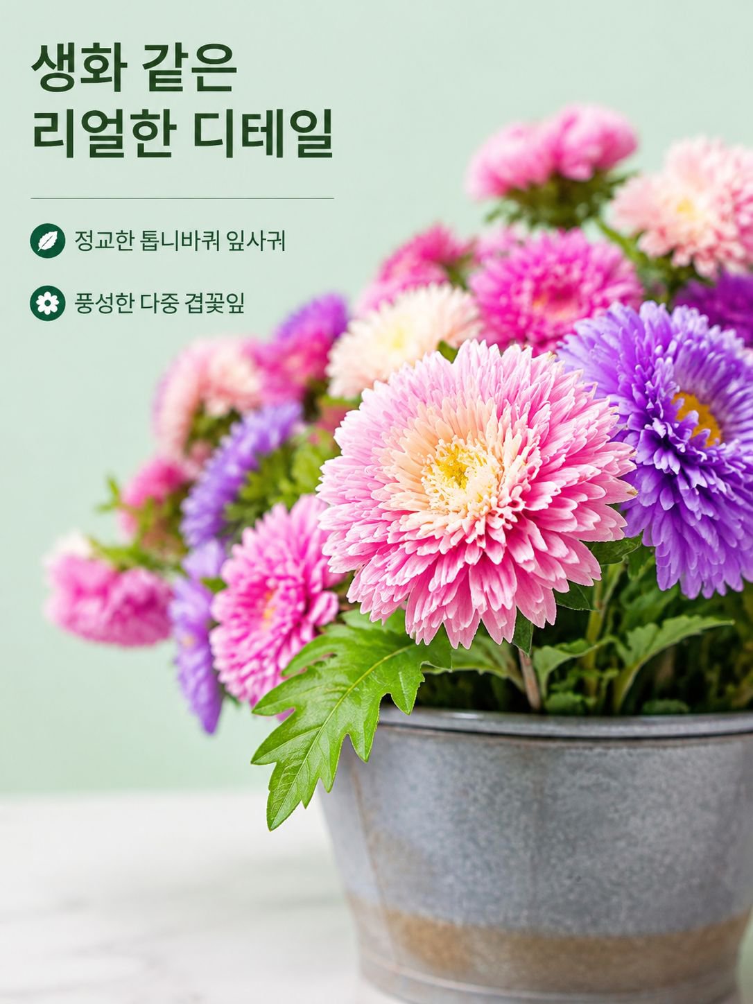 다채로운 캔디 화분 꽃