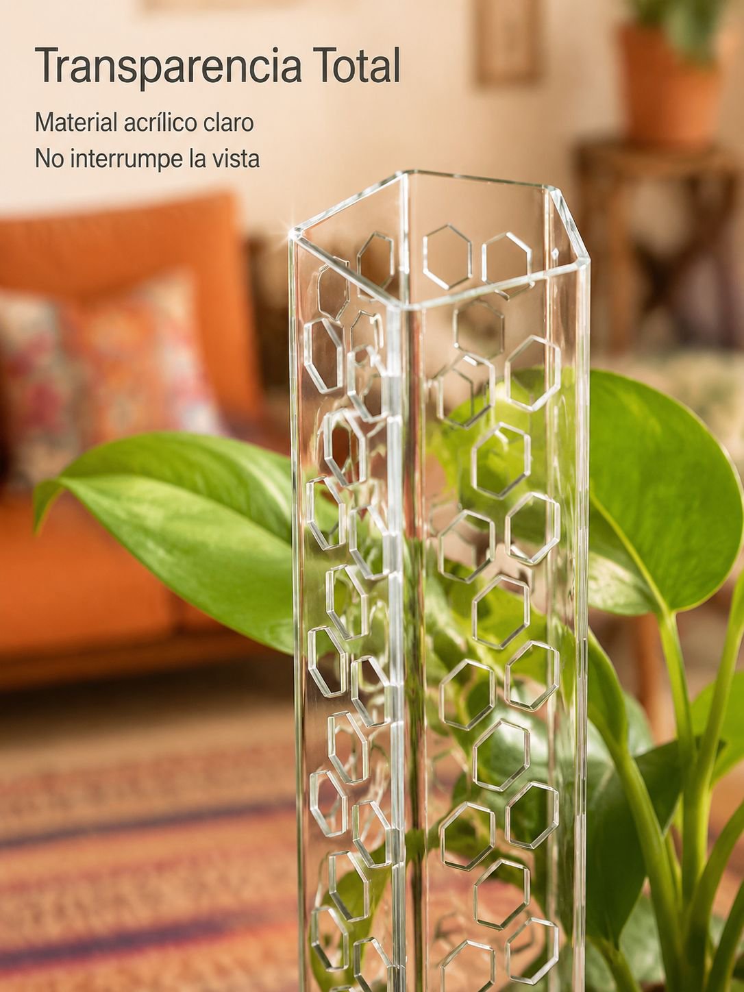 Soporte transparente para plantas trepadoras de interior