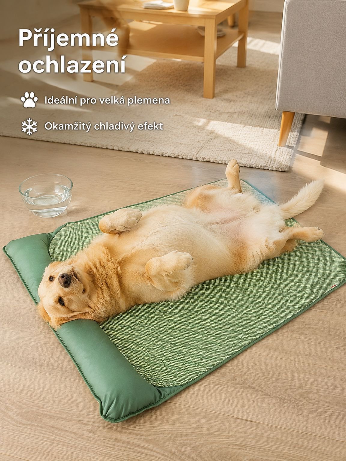 Chladivá podložka pro velké psy v létě