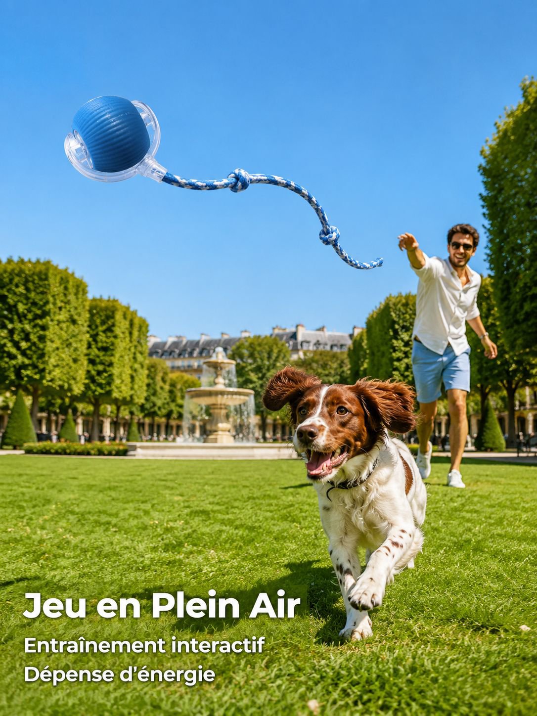 Pour passer le temps, promenez le chat, jouez avec le chien et jouez à la balle.