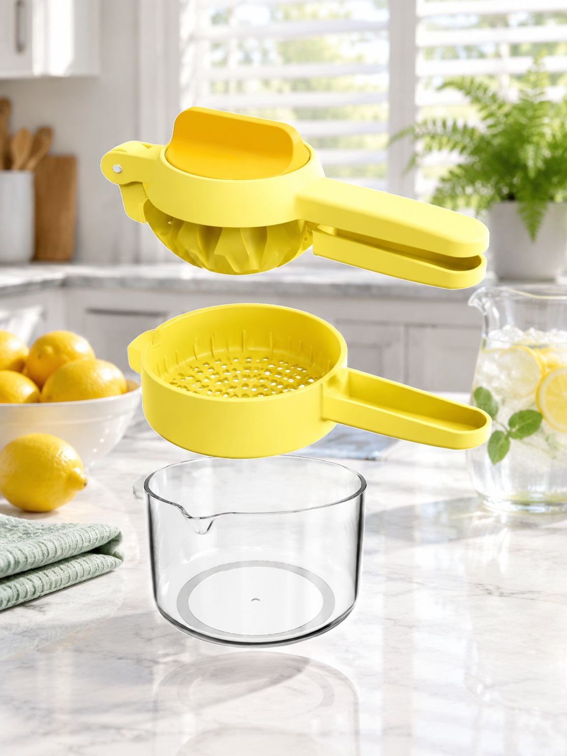 Manual Citrus Juicer for Lemons and Oranges