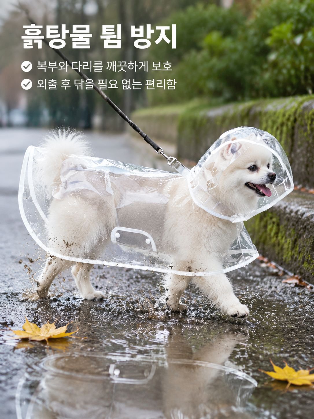 소형견용 방수 우비 판초