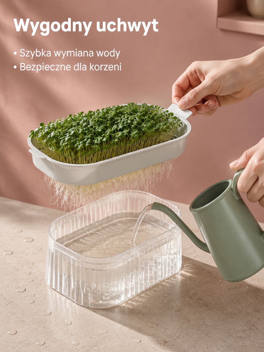 Nowoczesny pojemnik do kiełków wodnych