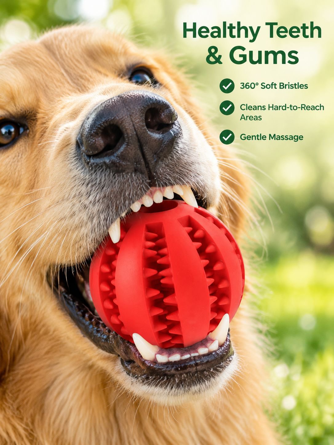 Durable Chew Dog Toy