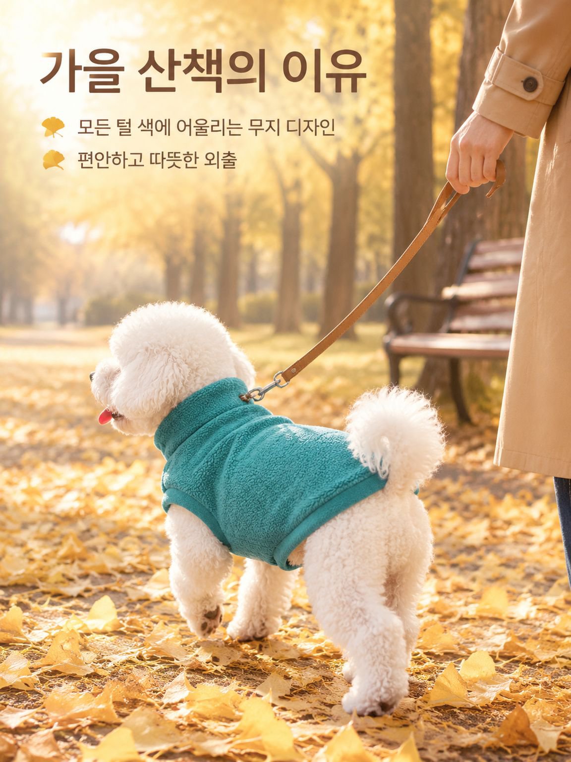 소형견과 고양이 모두 착용 가능한 반려동물 후드티