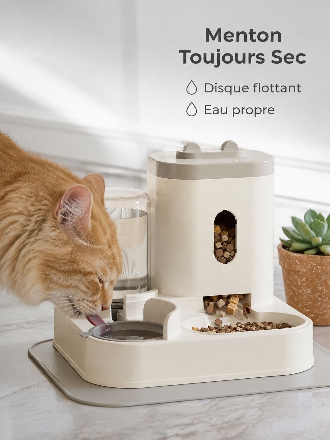 Bol multifonction pour animaux - plateau d'alimentation pour chats et chiens