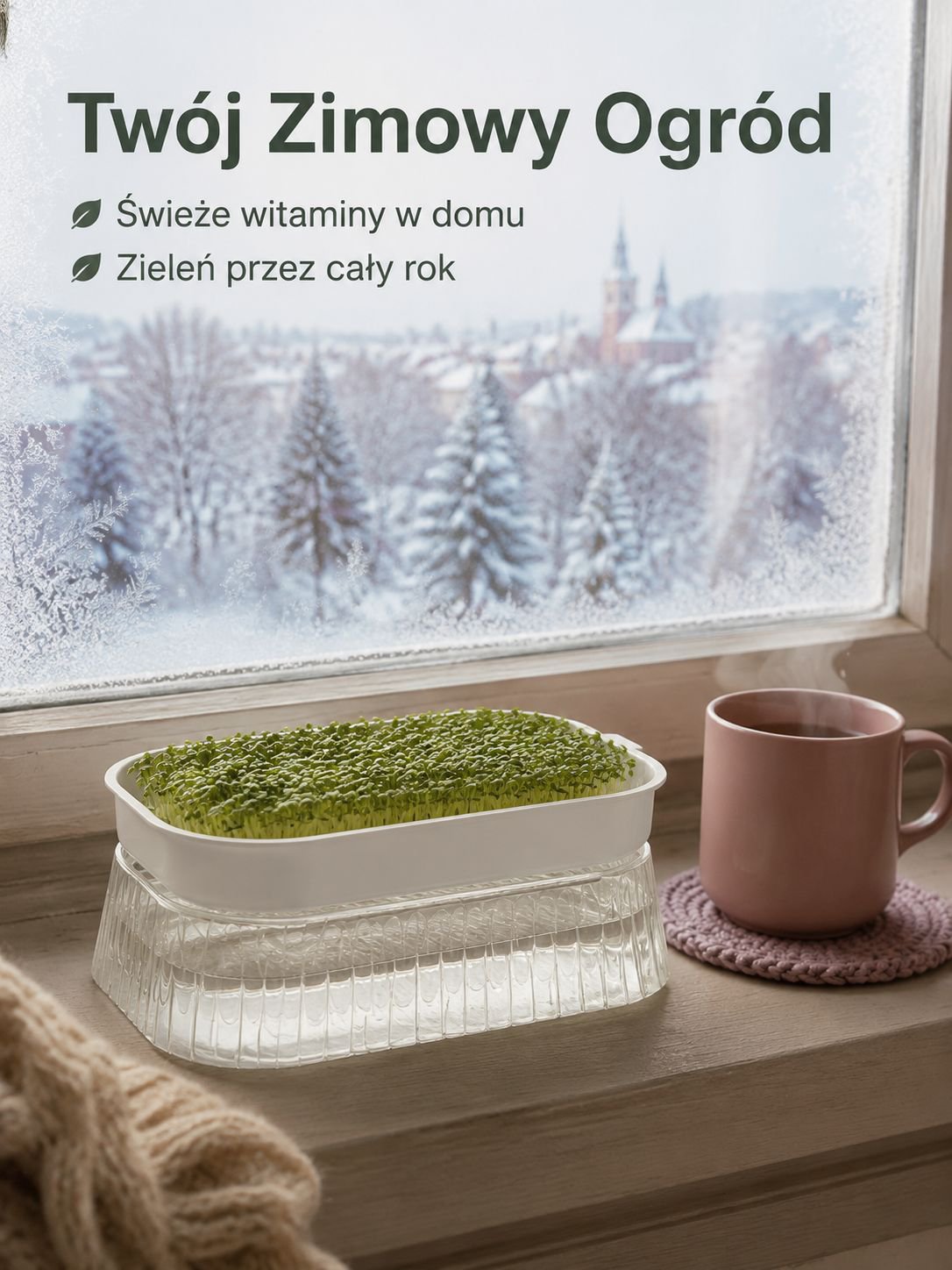 Pojemnik do uprawy kiełków wodnych na kuchennym blacie