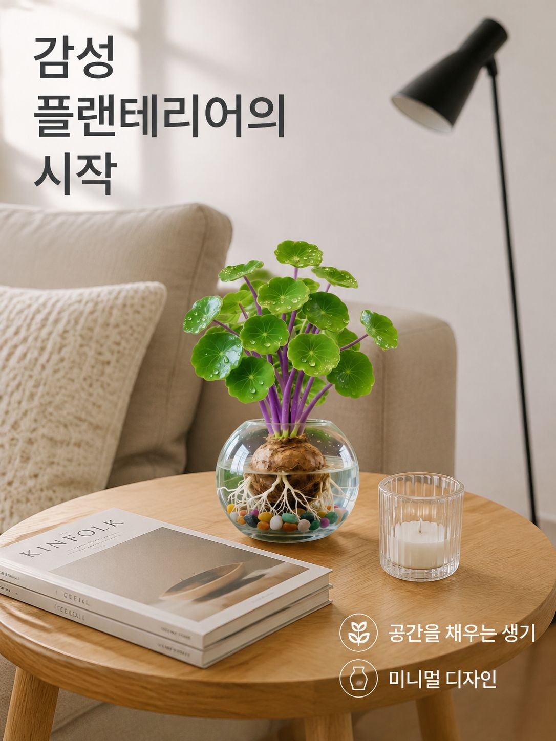 수경 관엽 식물