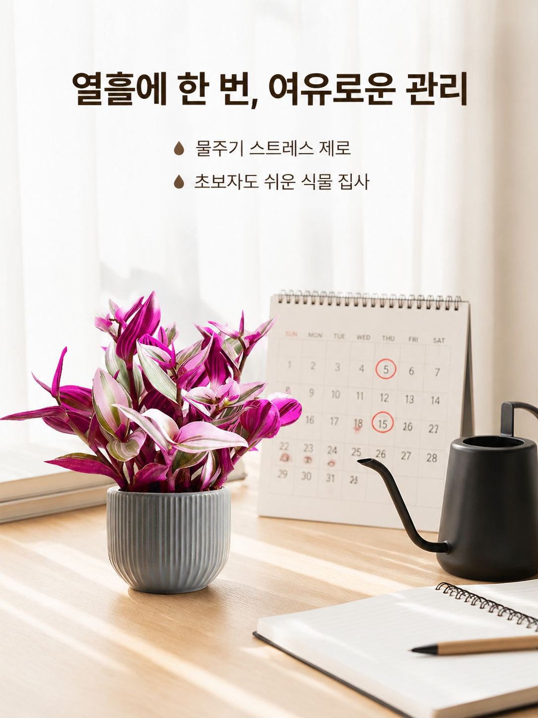 보라색 거미 식물