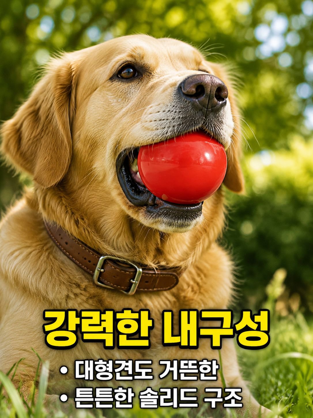 애완동물이 장난감 개공을 씹다