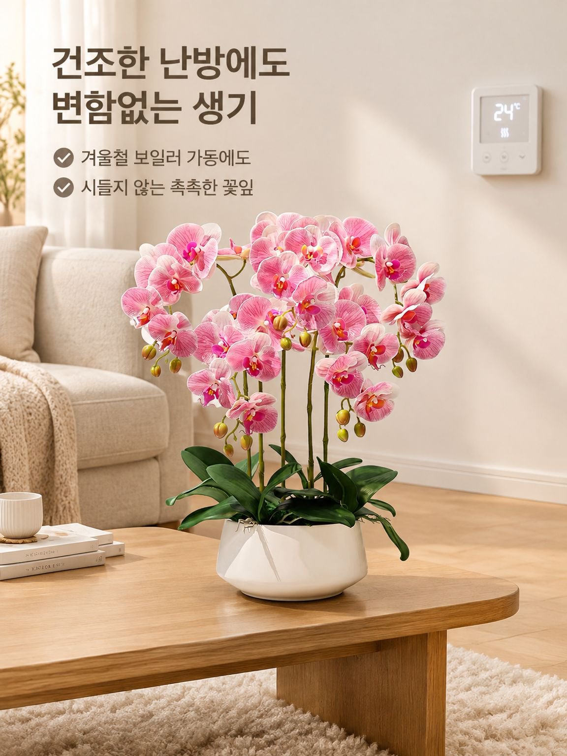 팔레노프시스 난초 실내 식물