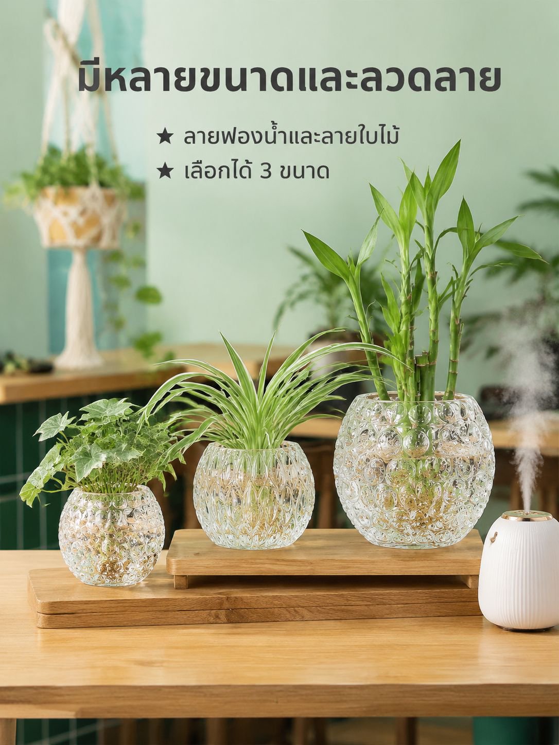 ขวดน้ำสำหรับปลูกต้นไม้ในบ้าน