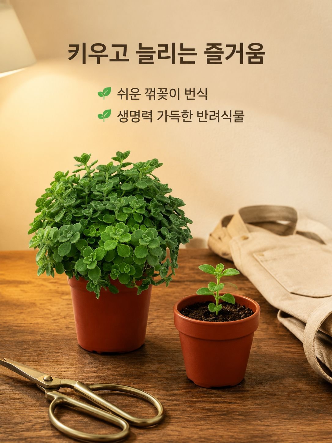로즈마리 녹색 식물