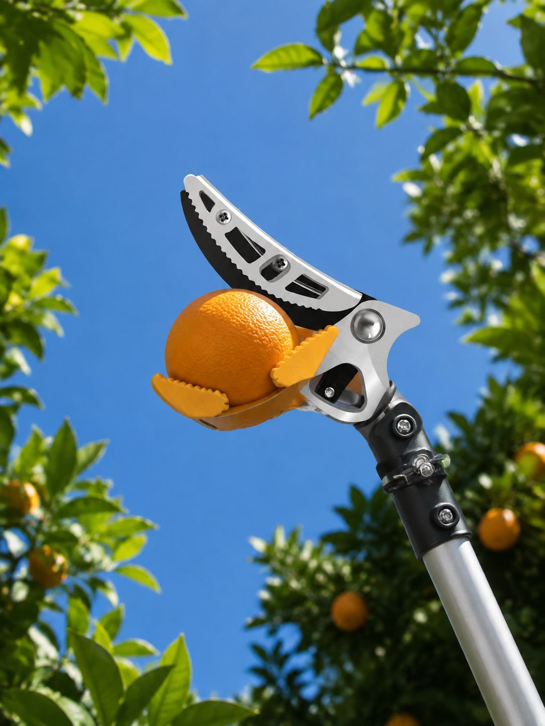 Mango extensible para alcanzar frutas lejanas