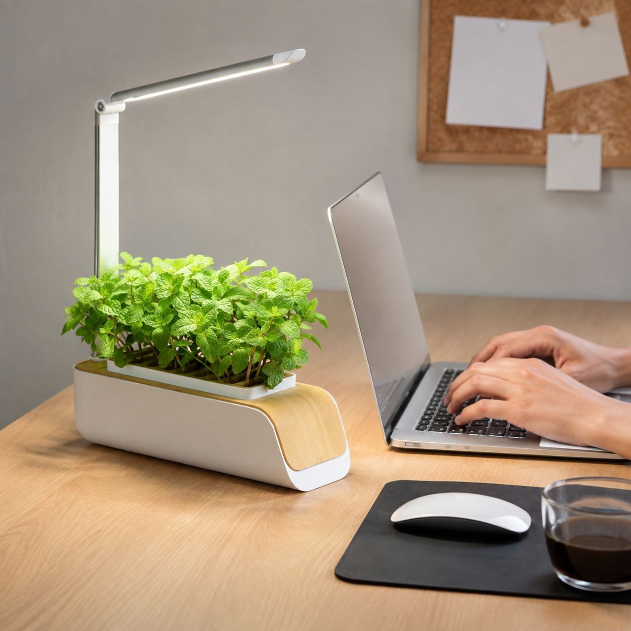 Maceta inteligente con temporizador de iluminación automática