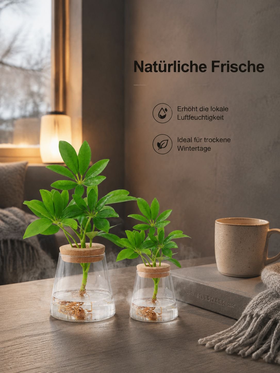 Pflegeleichte Pflanzen in einer Flasche
