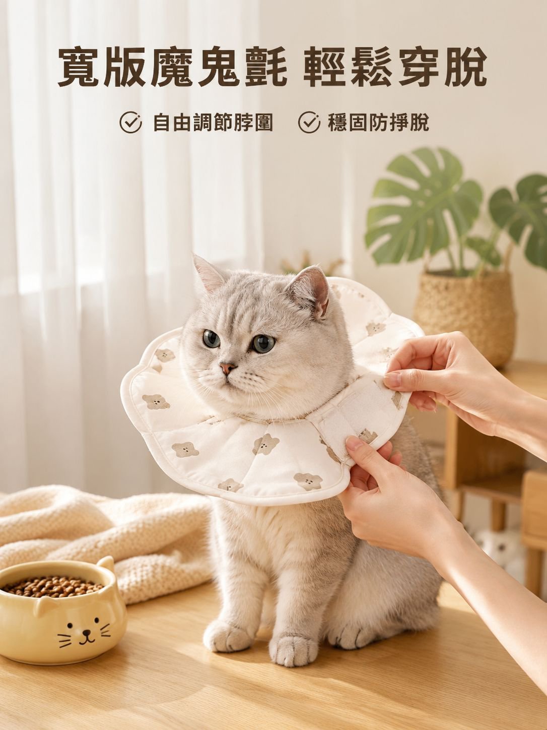 貓用防抓防舔保護圈