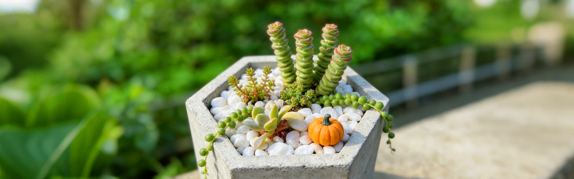 オンラインショッピングモール