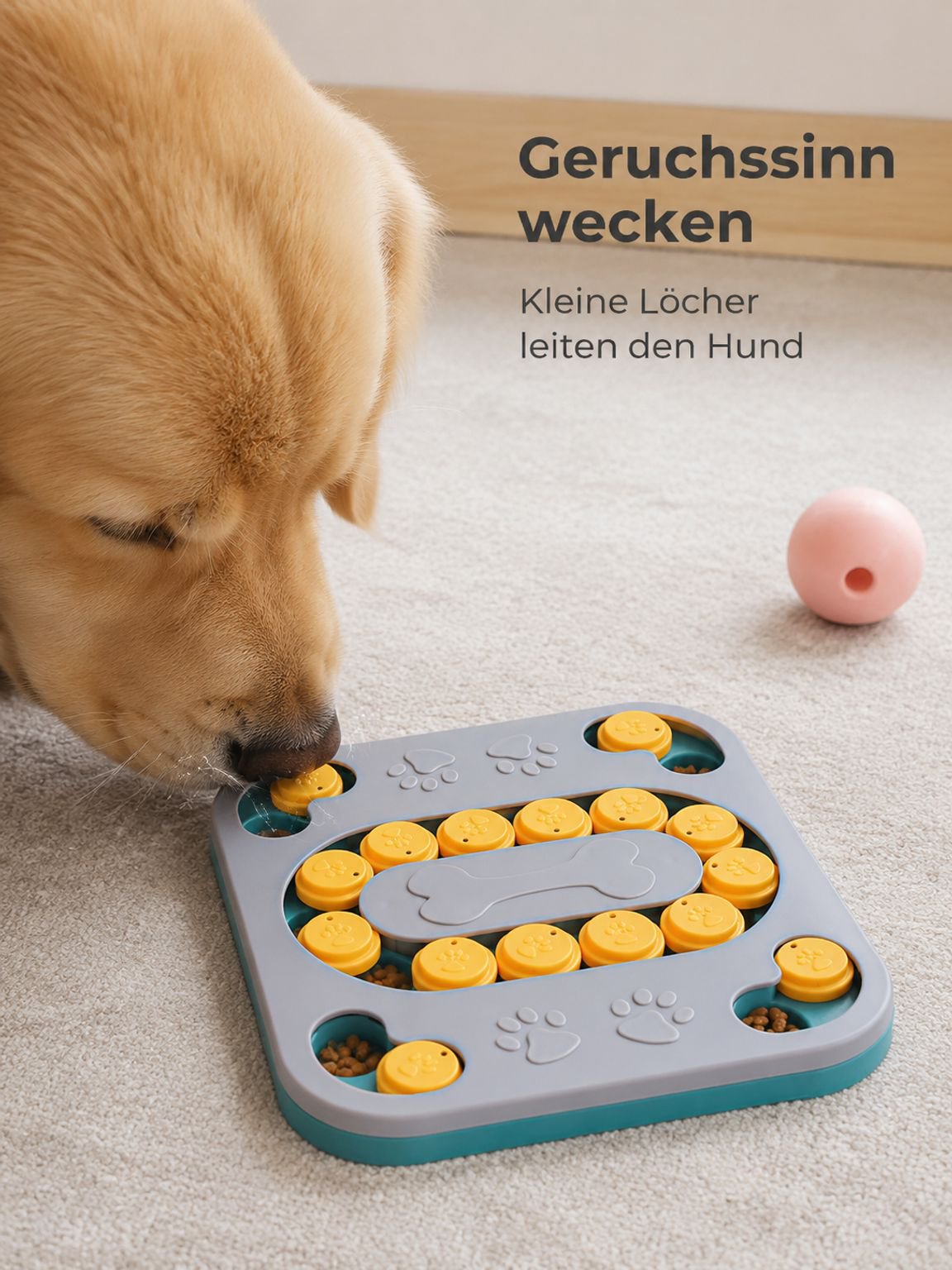 Haustier-Lernspielzeug mit Futternapf